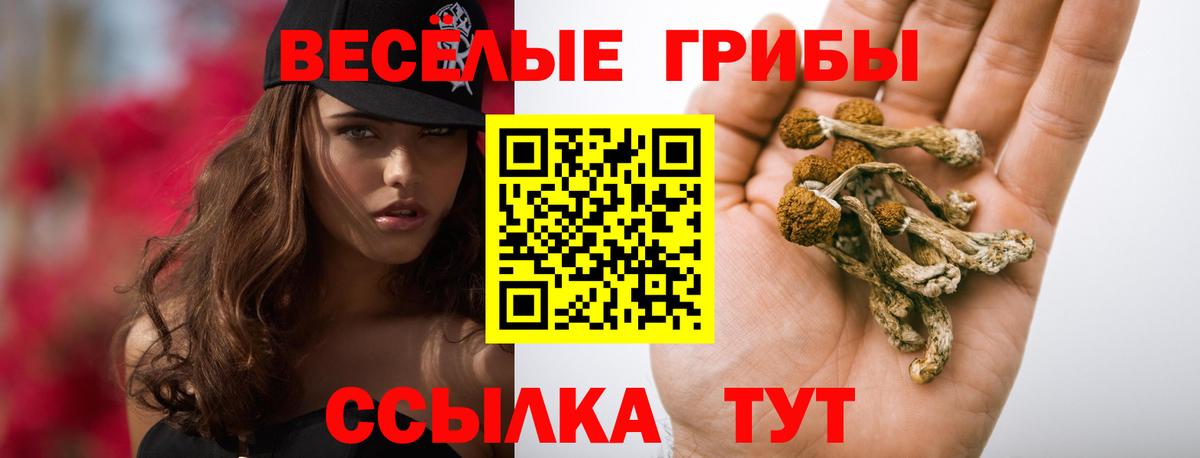 Псилоцибиновые грибы ЛСД  Вход с VPN  Дзержинский 